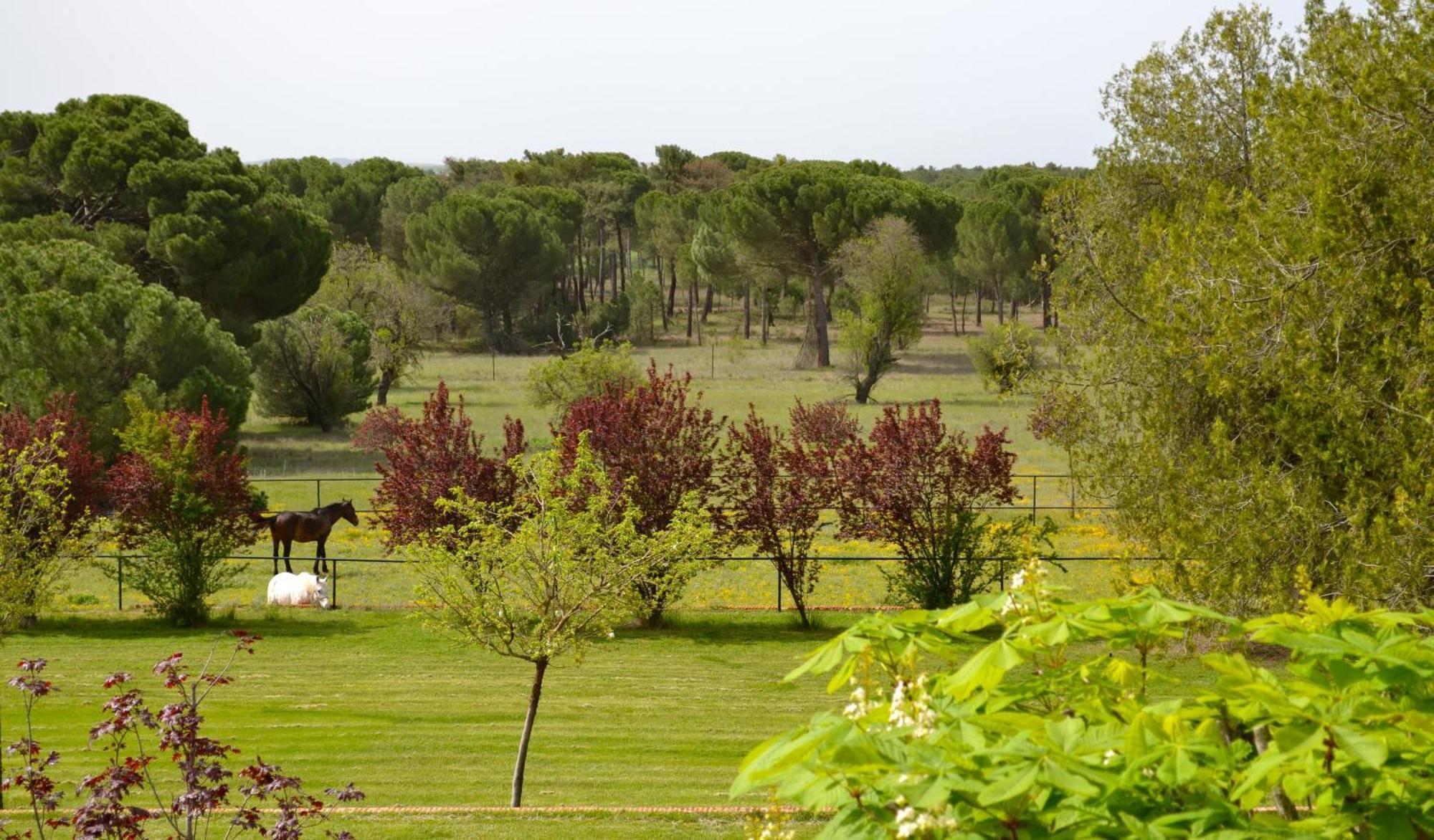 Posada Real Del Pinar Pozal De Gallinas Exterior photo